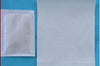 Detox Foot Pad Patch