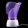 Facial Steamer Machine